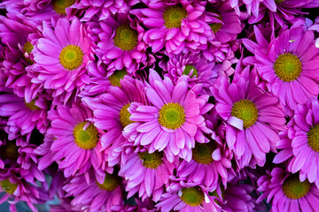 top view fresh flowers background