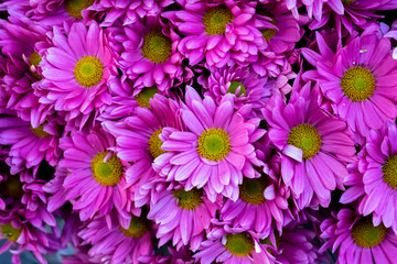 Obraz premium top view fresh flowers background