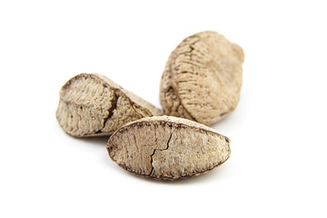 Brazil nuts or Bertholletia excelsa seeds isolated on white