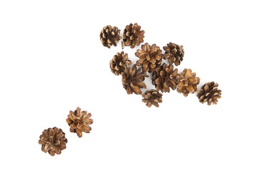 Group of pine cones isolated on white background