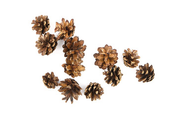 Group of pine cones isolated on white background