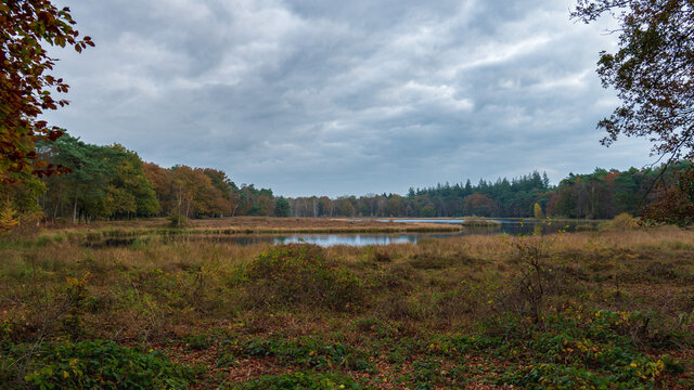 View of the pluismeer during autumn at lage Vuursche The Netherlands, Utrecht, Utrechtse heuvelrug, autumn colors, stock photo, lake