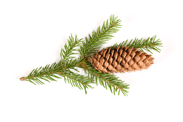 Spruce branch and cone. Fir Christmas Tree. Green pine, spruce branch with needles. Isolated on...