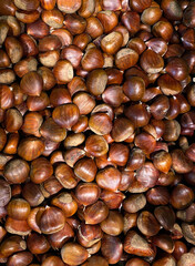 Top view of raw chestnuts with shell in the market