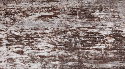 Old wooden texture with beautiful natural patterns in retro concept
