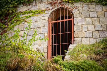 Fototapeta na wymiar old stone window with ivy