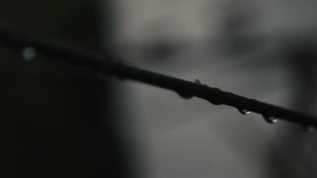 The rain soaks the transverse power lines