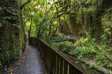 Mangapohue Natural Bridge, New Zealand, North island