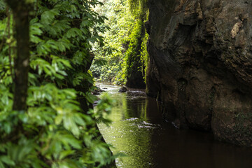 Mangapohue Natural Bridge, New Zealand, North island