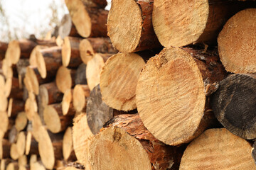 Stacked firewood outdoors, closeup. Heating in winter