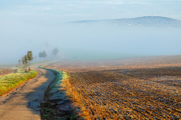 Podzim, autumn, trees, forest, field