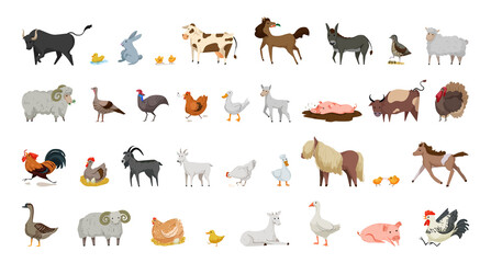 Collection of farm animals and birds. Illustrations in flat style.