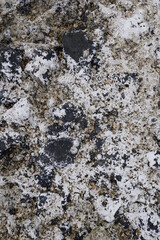 texture of stone