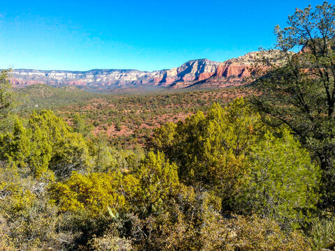 Southwest Desert Arizona
