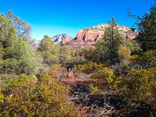 Southwest Desert Arizona