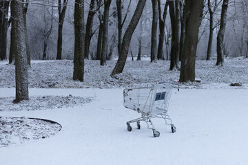Abandoned shopping cart in city park on winter. Apocalypse concept after epidemic or economy collapse.