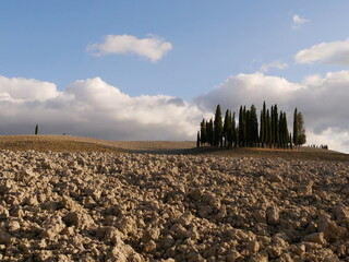 Crete senesi