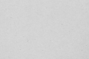 paper texture . white gray background