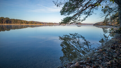 Ast spiegelt sich im Wasser