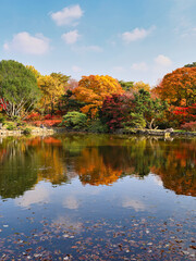한국의 궁궐에서