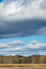 White clouds over fields of corn at harvest time.  Shot in the Ottawa Valley of Ontario, Canada. (Portrait).