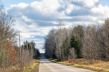 Fototapeta premium A rural roadside at harvest time with puffy white clouds. Shot in the farm counrty of the Ottawa Valley (Ontario, Canada) in early November.