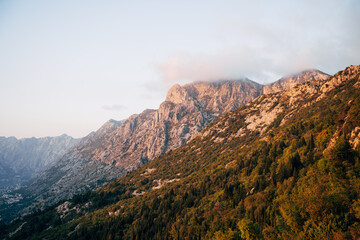 Mount Lovcen covered with forest in fog. Montenegro