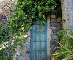 Puerta verde con plantas