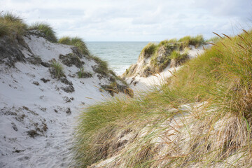 Paysage de dunes à la mer du Nord