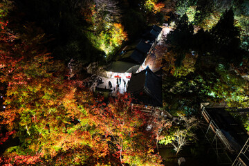 秋の紅葉、京都