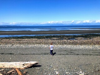 A little girl standing on a beach staring at the ocean, on a beautiful sunny day along the...