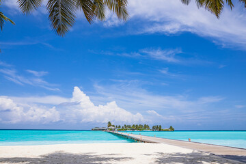 A pier on a paradise island with azure water and exotic vegetation