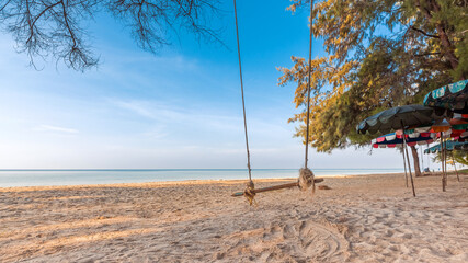 relaxing on the beach with rope swing under the pine  in summer vacation time