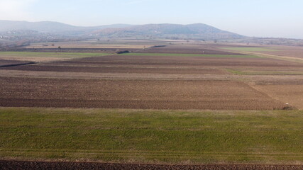Fototapeta premium landscape with a field