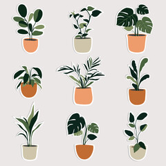 Set of house plants in the pots. Trendy home decor with plants. Vector illustration. Stickers.