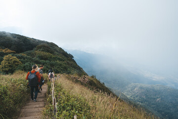 Fototapeta na wymiar Group of travelers walking in jungle forest