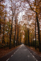 Autumn Colours, beautiful landscape during fall. 