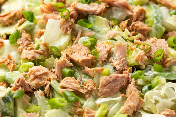 Tuna salad with avocado, celery, spring onion and iceberg lettuce. Tasty healthy food