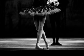 Obraz na płótnie Canvas legs of classic ballet couple