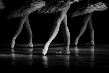 Closeup of ballerinas legs