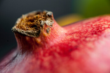 makro, granat, owoc, jedzenie, czerwień, dojrzałe, swiezy, słodki, tropikalna, soczysty, wegetarianin, dieta, jedzenie, granat, deser, nieugotowany, naturalny, zdrowie © yanek