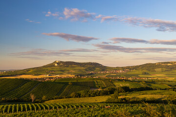Fototapeta na wymiar Vineyards under Palava near Dolni Dunajovice, Southern Moravia, Czech Republic