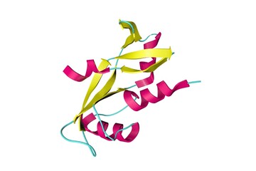 Crystal structure of human angiogenin, a potent stimulator of new blood vessels through the process of angiogenesis. 3d illustration