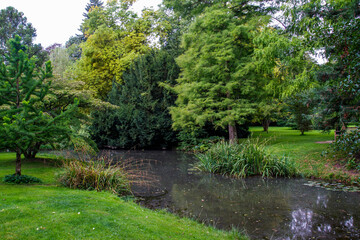 Fototapeta na wymiar See im Park von Hohenheim, Stuttgart