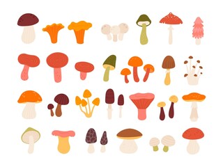 Flat edible forest mushrooms, truffle, chanterelle, porcini and amanita. Natural wild mushroom types in abstract minimalist style vector set