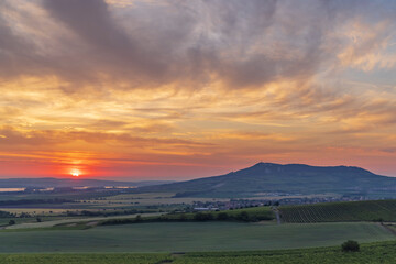 Sunrise in vineyards under Palava, Southern Moravia, Czech Republic