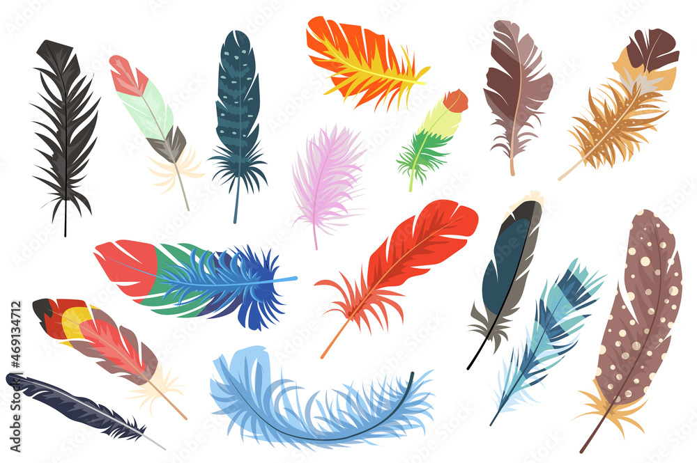 Wall mural feathers isolated elements set. bundle of different types of colorful bright bird feathers from wing