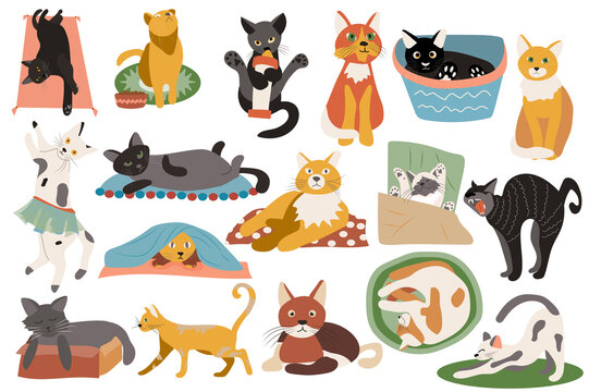 Cute cats isolated elements set. Bundle of kittens lying, sitting, sleeping, playing, expression of emotions and scenes of domestic animals. Creator kit for vector illustration in flat cartoon design