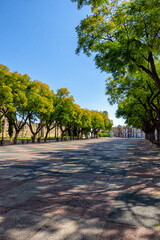 Parque Alameda Vieja en Jerez de la Frontera en la provincia de Cádiz, Bellleza y Detalles / Alameda Vieja Park en Jerez de la Frontera, Cádiz