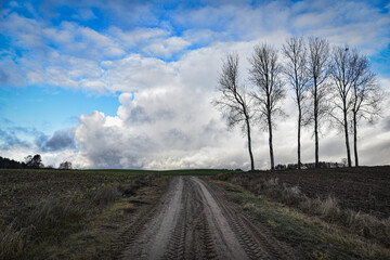 landscape with road